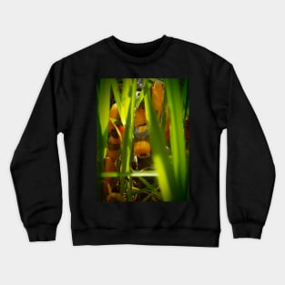 Beast Hunt Crewneck Sweatshirt